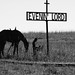Frank Cowley Photo 18