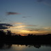 Marcia Darling Photo 17