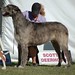 Steven Strohm Photo 18