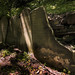James Crooks Photo 40