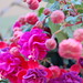 Kathy Beavers Photo 27