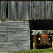 Jeffrey Blount Photo 23