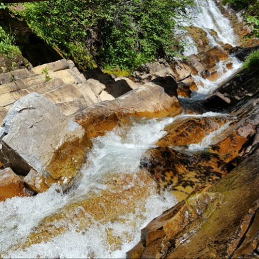 Scott Laws Photo 9