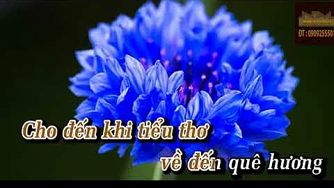 Tran Thieu Photo 20
