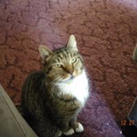 Teri Lorenz Photo 2