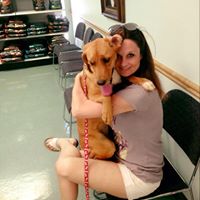 Kelli Pickett Photo 3