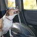Deanna Riding Photo 15