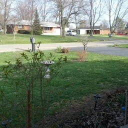 Earl Burns Photo 9