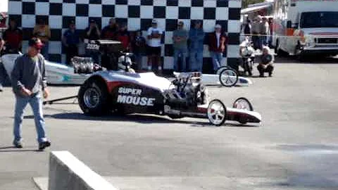 Wayne Sears Photo 29