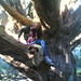 Helen Vale Photo 26