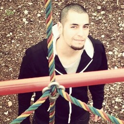 Francisco Toledo Photo 16