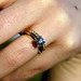 Amanda Ring Photo 40