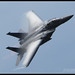 Craig Eagle Photo 23
