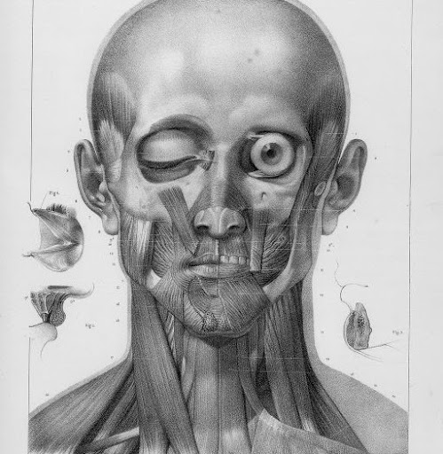 Nicolas Varela Photo 9