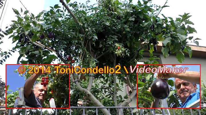 Francesco Mangano Photo 19