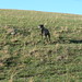 Jimmie Hill Photo 34