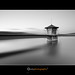 Eduardo Mendez Photo 48
