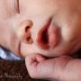 Elana Johnson Photo 15