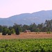 Barbara Lowry Photo 37