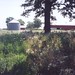 Frank Pruitt Photo 22