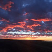 Andrew Ortman Photo 2