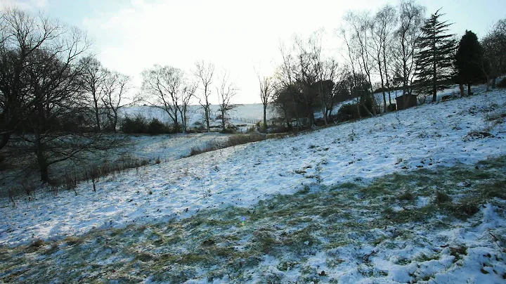 Patricia Darnall Photo 8