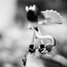 Don Gabriel Photo 35