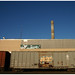 Kevin Mutz Photo 19