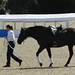 Michael Pini Photo 26
