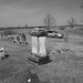 Margaret Beirne Photo 25