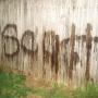 Scott Koster Photo 19