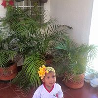 Daisy Sarmiento Photo 4