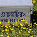 Jackie Burris Photo 32