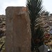 Mohammed Taleb Photo 35