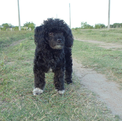 Santiago Ventura Photo 13