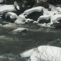 Robin Reaves Photo 3