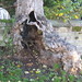 Michael Hollow Photo 21