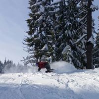 Aaron Swafford Photo 5
