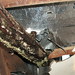 Larry Powers Photo 43