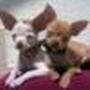 Pamela Conley Photo 23