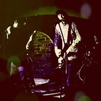David Needle Photo 4