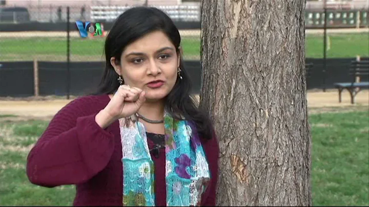 Amina Kamal Photo 18