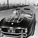 Steve Shelby Photo 30
