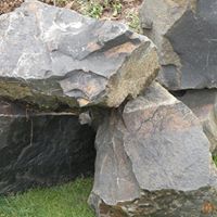 William Busenbark Photo 1