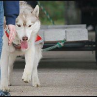 Kelly Lavelle Photo 7