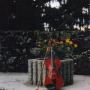 Nancy Buchanan Photo 29