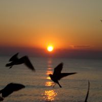 Barbara Burdette Photo 4