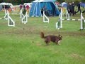 Christine Wingate Photo 22