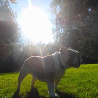 Phoebe Brown Photo 4