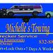 Michelle Tow Photo 18